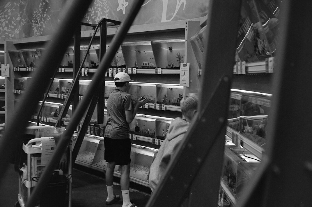 store detective observing shopper